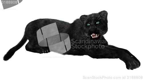 Image of Black Panther