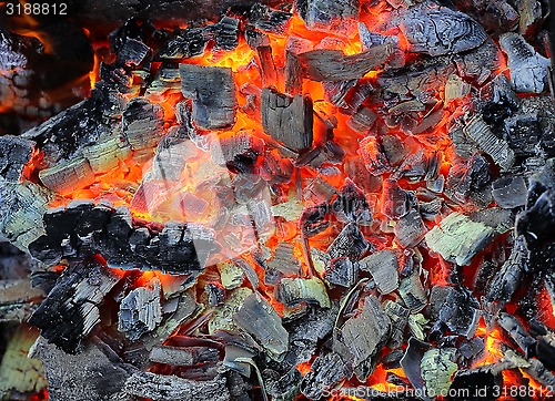 Image of Live coals