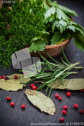 Image of Fresh herbs