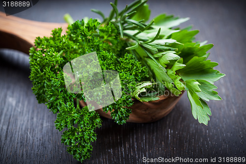 Image of Fresh herbs