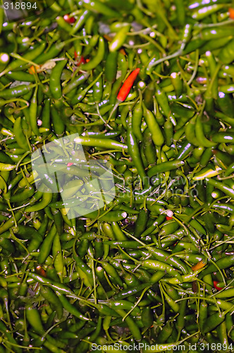 Image of Green chillies