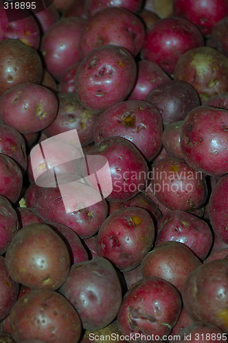 Image of Red Potatoes