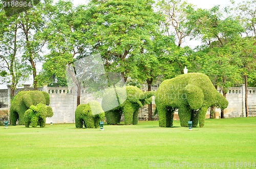 Image of The green elephant tree in Bang Pa-In palace at Ayutthaya provin