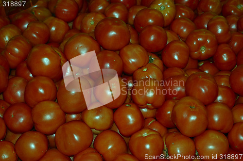 Image of Tomatoes