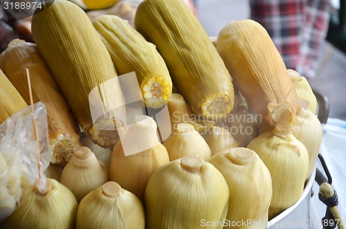 Image of Boiled sweet corns, Bangkok.