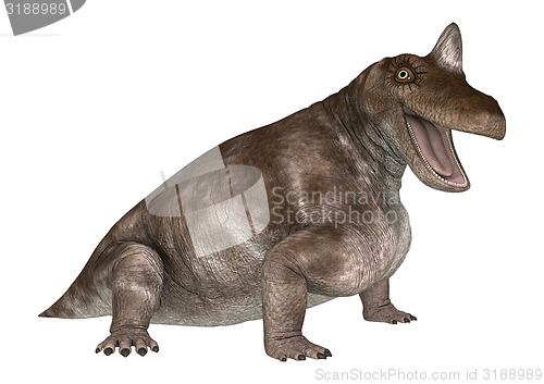 Image of Dinosaur Keratocephalus