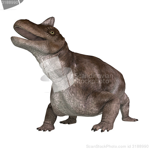 Image of Dinosaur Keratocephalus