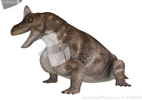 Image of Dinosaur Keratocephalus