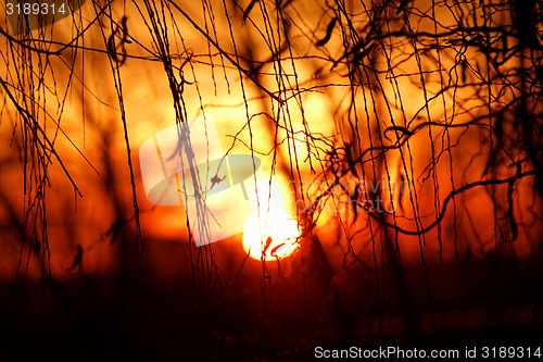 Image of Sunset background