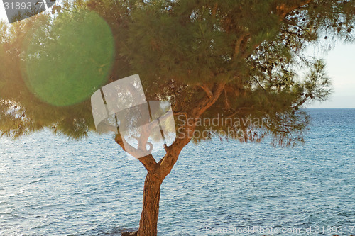 Image of Coastline