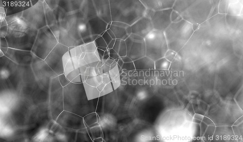 Image of Soap bubble