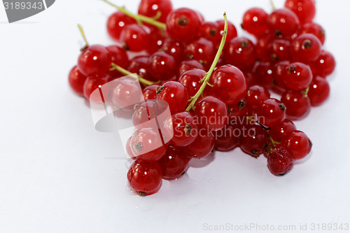 Image of Red currant