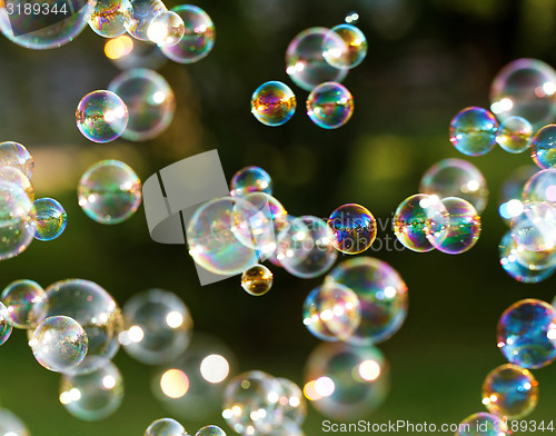 Image of Soap bubbles