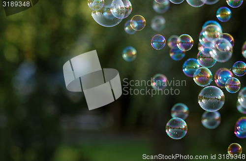 Image of Soap bubbles