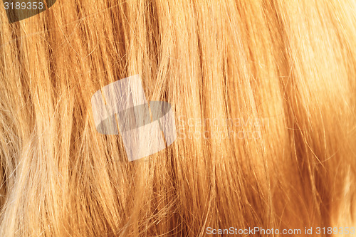 Image of Blonde hair