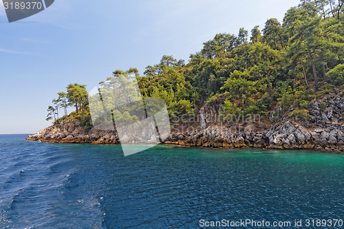 Image of Green island