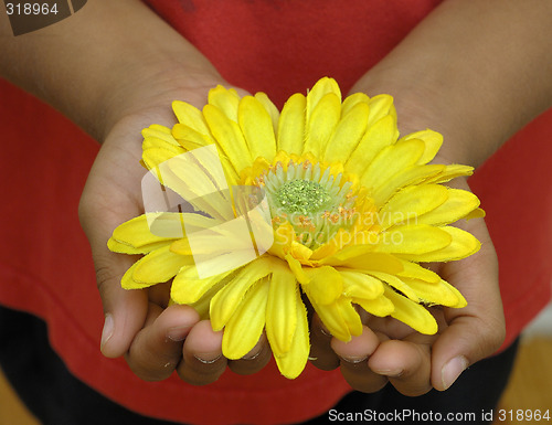 Image of Offering Flower
