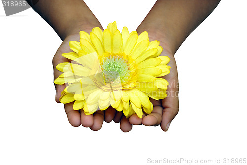 Image of Offering Flower