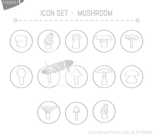 Image of mushroom icons