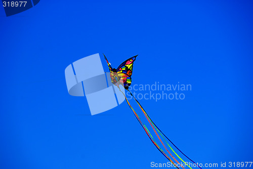 Image of Butterfly Kite