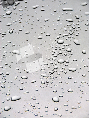 Image of Rain drops