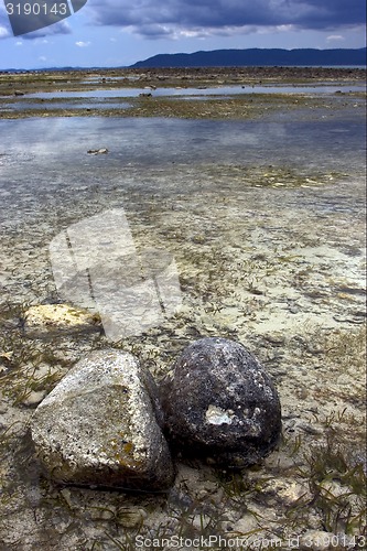 Image of madagascar and rock