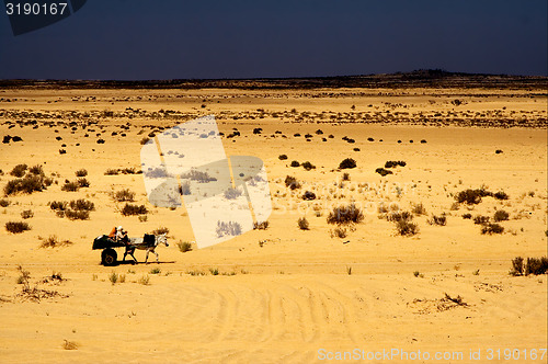 Image of people in the desert of tunisia