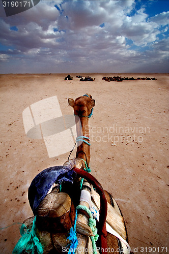 Image of desert\'s boat