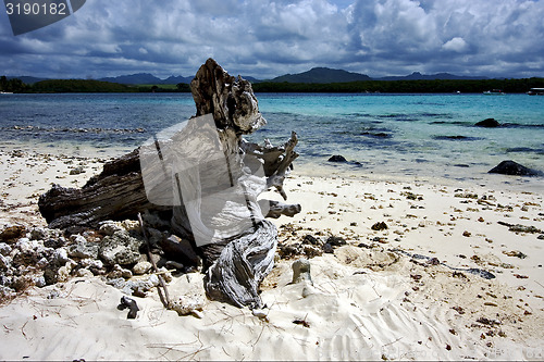 Image of mauritius beach
