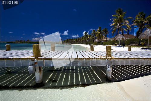 Image of mexico isla  contoy