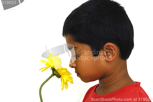 Image of Smelling