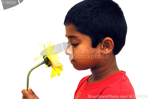 Image of Smelling