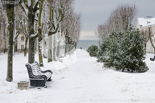 Image of Alley in the park of the city of Sillamae in winter