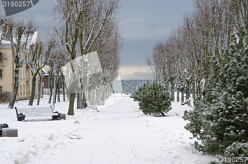 Image of Alley in the park of the city of Sillamae in winter