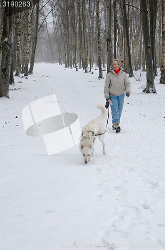 Image of Woman with dog walking down the avenue in the winter.
