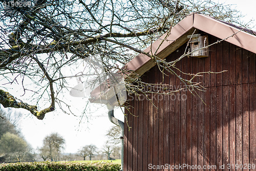 Image of allotment hut with garden in spring