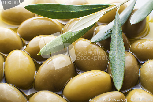 Image of Olive fruit