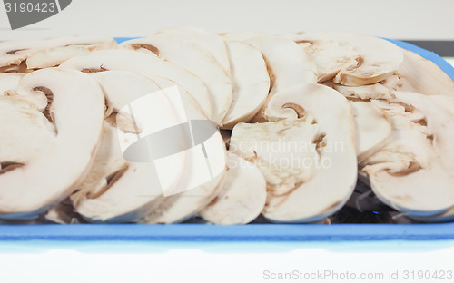 Image of Champignon mushroom tub