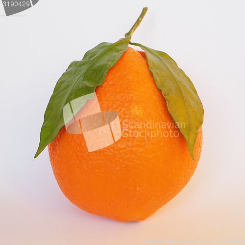 Image of Orange fruit