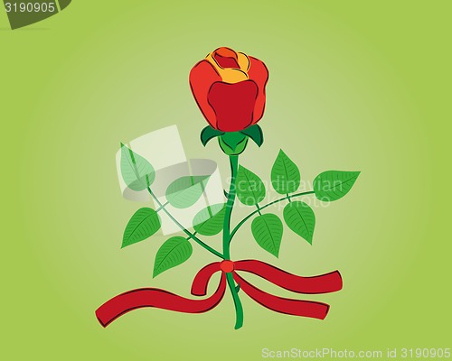 Image of red rose with ribbon