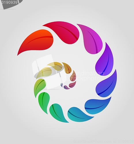 Image of spiral of leaves with different color