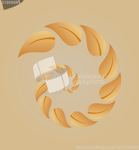 Image of spiral of yellow leaves
