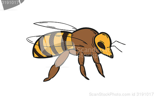 Image of one bee