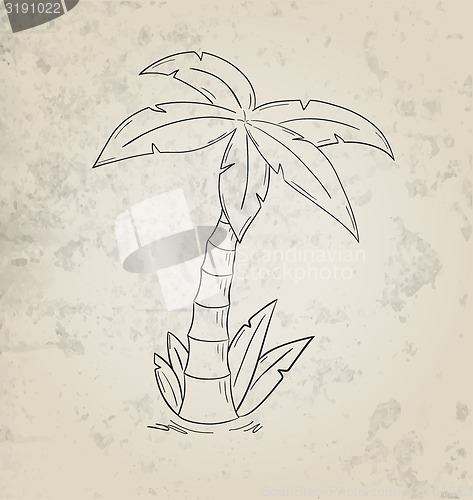 Image of sketch of the palm tree