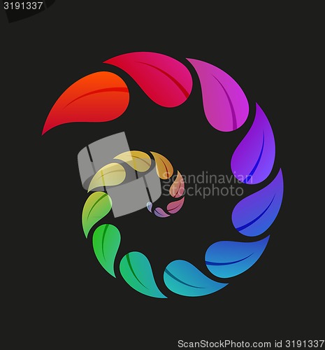 Image of spiral of leaves with different color