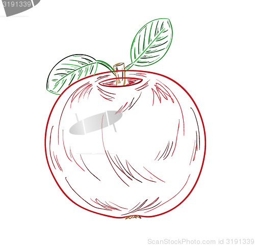 Image of apple sketch