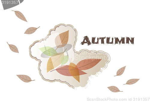 Image of autumn