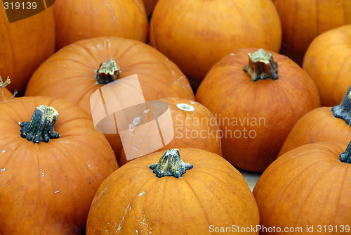 Image of Pumpkins