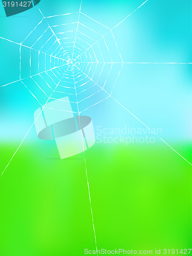 Image of spider web on color background