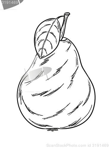 Image of pear sketch